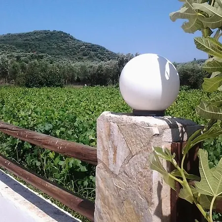 Aparthotel Zantegarden Alykanas (Zakynthos)