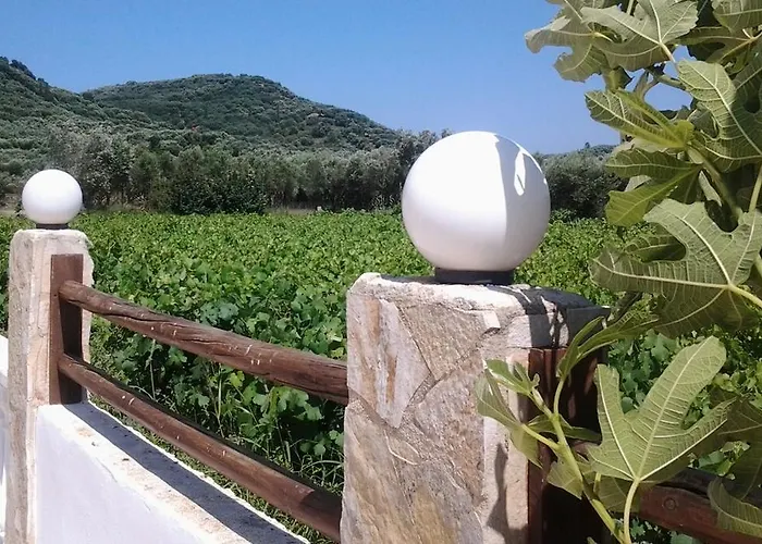 מלון דירות Zantegarden אליקאנאס