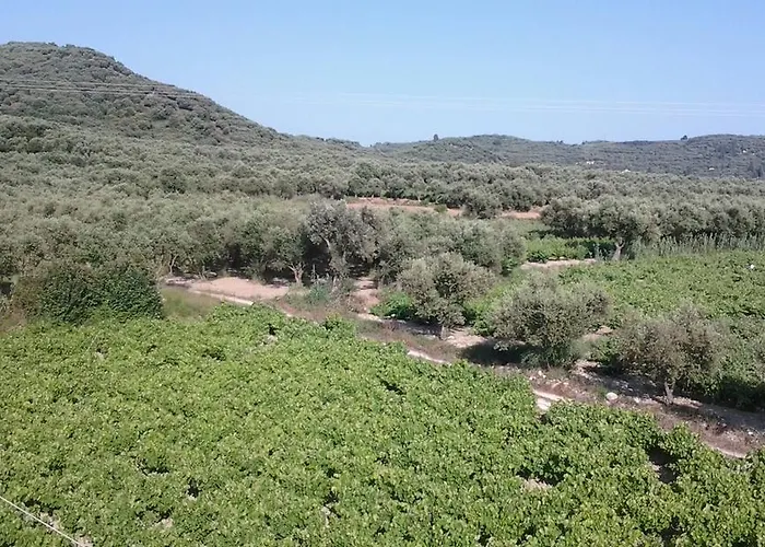 מלון דירות Zantegarden 3*