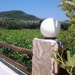 公寓式酒店 Zantegarden 阿利卡纳斯